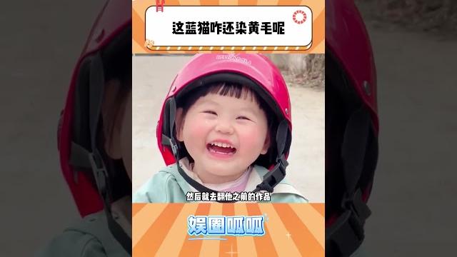 这蓝猫咋还染黄毛呢,原来是给自己换了个皮肤 这蓝猫咋还染黄毛呢,原来是给自己换了个皮肤