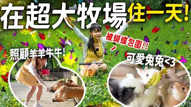 被紫斑蝶包圍! 150,000坪超大牧場2天1夜農遊體驗! 產地吃住全包! | 苗栗旅遊 被紫斑蝶包圍! 150,000坪超大牧場2天1夜農遊體驗! 產地吃住全包! | 苗栗旅遊