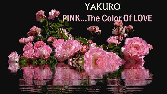 Pink... the color of love - yakuro Pink... the color of love - yakuro