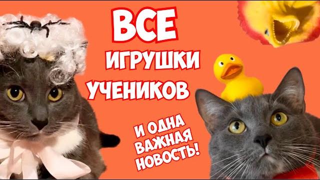 Игрушки учеников школы котиков Игрушки учеников школы котиков