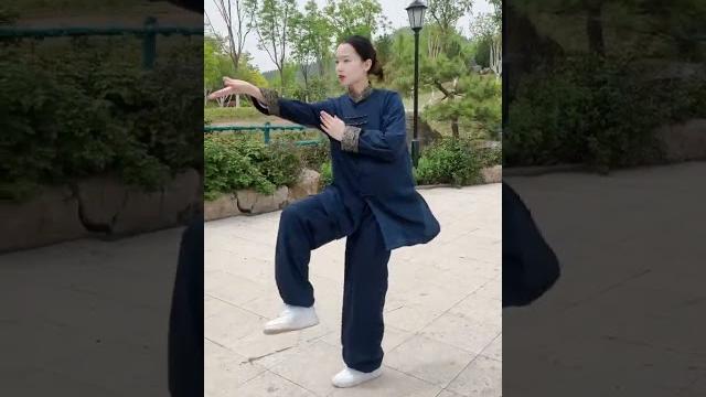 学任何东西都一样,聪明人掌握规律,一般人学姿势#太极拳教学 学任何东西都一样,聪明人掌握规律,一般人学姿势#太极拳教学