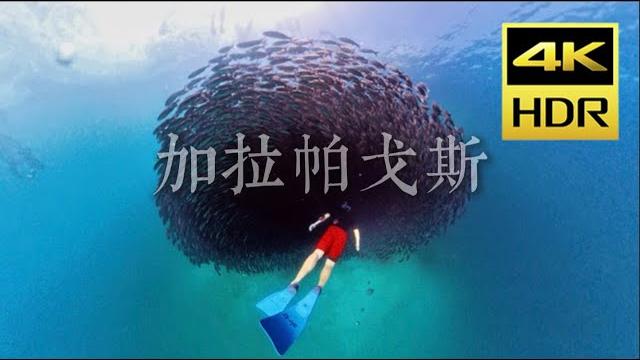 巨好玩的加拉帕戈斯群岛!旅行全攻略【4k hdr】 巨好玩的加拉帕戈斯群岛!旅行全攻略【4k hdr】