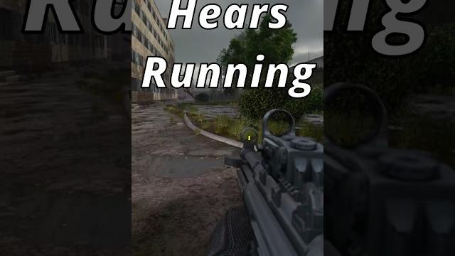 Gamma is cruel #stalkeranomaly #stalkergamma #gaming #gamma #anomaly #stalker #stalker2 Gamma is cruel #stalkeranomaly #stalkergamma #gaming #gamma #anomaly #stalker #stalker2