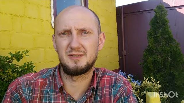 Болезни малины. дидимелла. Болезни малины. дидимелла.