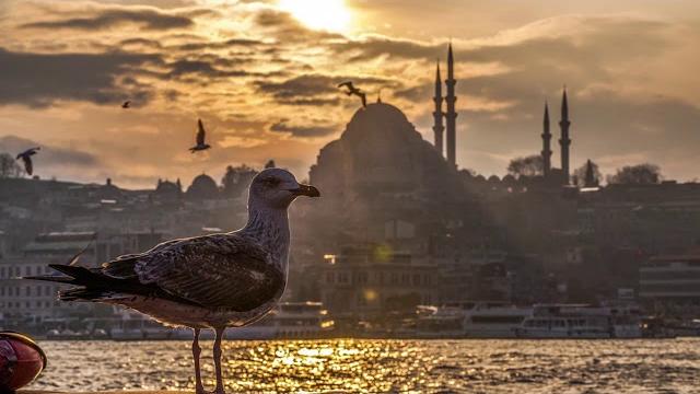 Turkish instrumental music Turkish instrumental music
