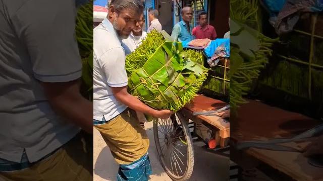 গ্রামের হাট বাজার।।village market #agriculture #betel #farmer #trending #marketing #ytshorts #viral গ্রামের হাট বাজার।।village market #agriculture #betel #farmer #trending #marketing #ytshorts #viral