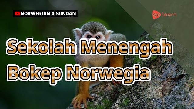 Sekolah menengah bokep norwegia | golearn Sekolah menengah bokep norwegia | golearn