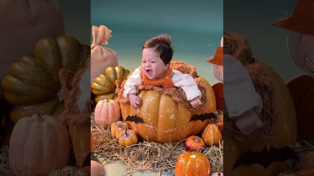 Zino đi chụp concept labubu bí ngô halloween #veve #zino #halloween Zino đi chụp concept labubu bí ngô halloween #veve #zino #halloween