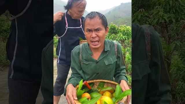 We live in the hilly area and pluck very juicy and unique mangoes from the trees here.#mango We live in the hilly area and pluck very juicy and unique mangoes from the trees here.#mango