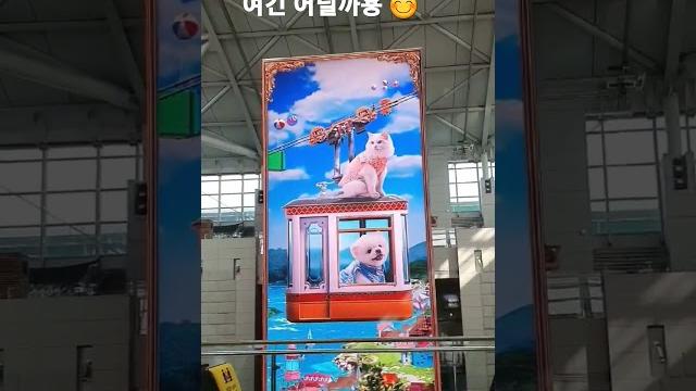 안녕 hej hej ¡hola¡ ආයුබෝවන් #함께해주세요 #한국어 #한국 #나의서울 #learning #together #friends #work #korean 안녕 hej hej ¡hola¡ ආයුබෝවන් #함께해주세요 #한국어 #한국 #나의서울 #learning #together #friends #work #korean