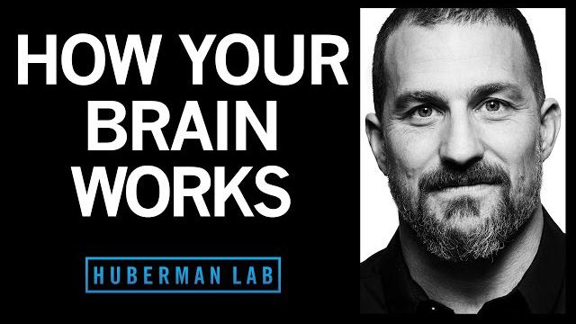 How your brain works & changes How your brain works & changes
