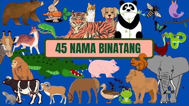 Mengenal nama binatang atau hewan dan suaranya Mengenal nama binatang atau hewan dan suaranya