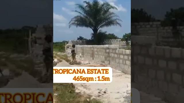 The most affordable land in rivers state selling for n1.5m #realestate #riversproperties #land The most affordable land in rivers state selling for n1.5m #realestate #riversproperties #land