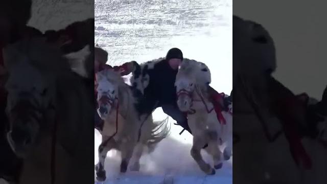 I tried riding a pony in the snow and you won't believe what happened #horse #pony #equestrian I tried riding a pony in the snow and you won't believe what happened #horse #pony #equestrian