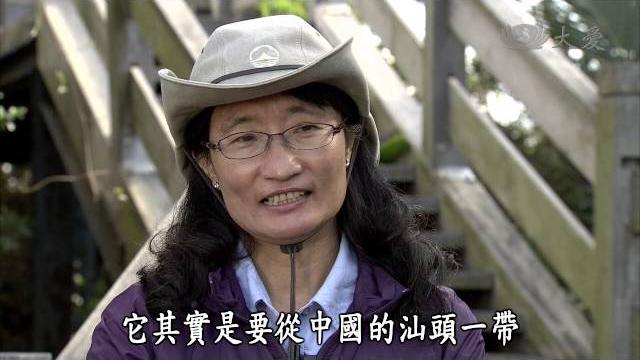 【發現】20140315 - 風中的半島天地 - 台26線 【發現】20140315 - 風中的半島天地 - 台26線