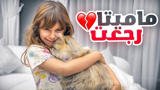 قطتنا ماميتا رجعت ثاني | بنتنا ايلين انصدمت ( مؤثر ) قطتنا ماميتا رجعت ثاني | بنتنا ايلين انصدمت ( مؤثر )
