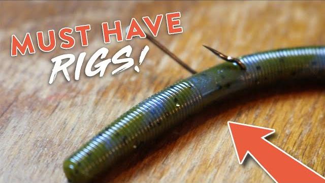Bass fishing 101: 5 bass fishing rigs you need to know!! Bass fishing 101: 5 bass fishing rigs you need to know!!
