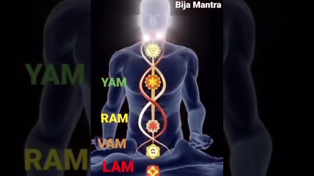 Unlock emotional balance with chakra chants | lam vam ram yam ham #meditation #viralvideo #vedic Unlock emotional balance with chakra chants | lam vam ram yam ham #meditation #viralvideo #vedic