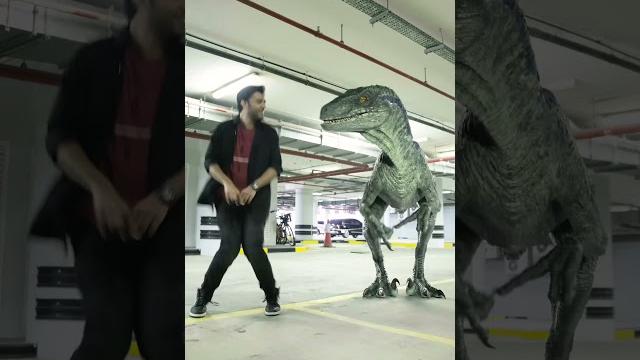 Dinosaur dance | blue is in a good mood Dinosaur dance | blue is in a good mood