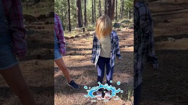 #bluey bingo moose #kidssong #bluey bingo moose #kidssong