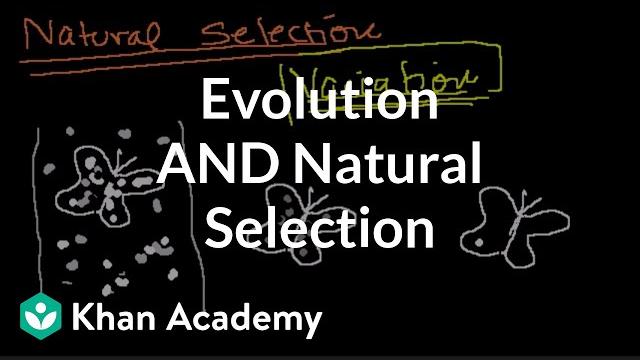 Introduction to evolution and natural selection Introduction to evolution and natural selection
