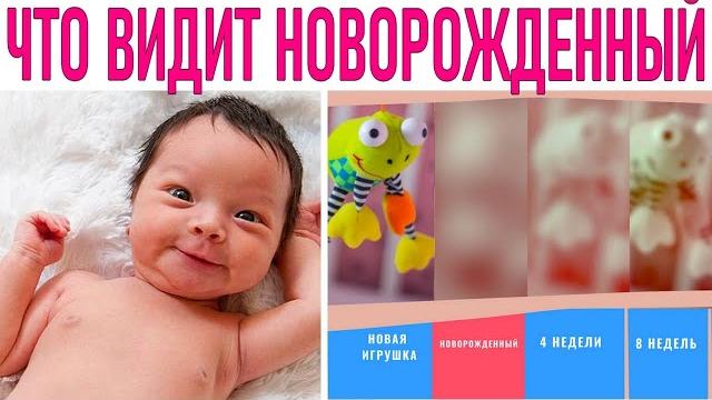 Мир глазами младенца | что и как видят малыши Мир глазами младенца | что и как видят малыши