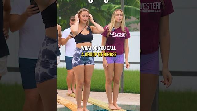 Loser goes in the water Loser goes in the water