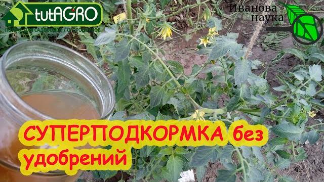 Все растения любят это! подкормите растения... уксусом! все правила уксусной подкормки. Все растения любят это! подкормите растения... уксусом! все правила уксусной подкормки.