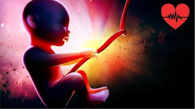 Womb sounds and heartbeat to put baby to sleep (8 hrs) Womb sounds and heartbeat to put baby to sleep (8 hrs)