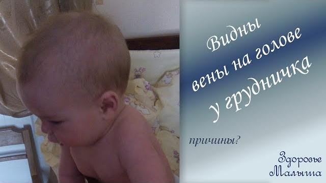Почему видны вены на голове грудного ребенка Почему видны вены на голове грудного ребенка