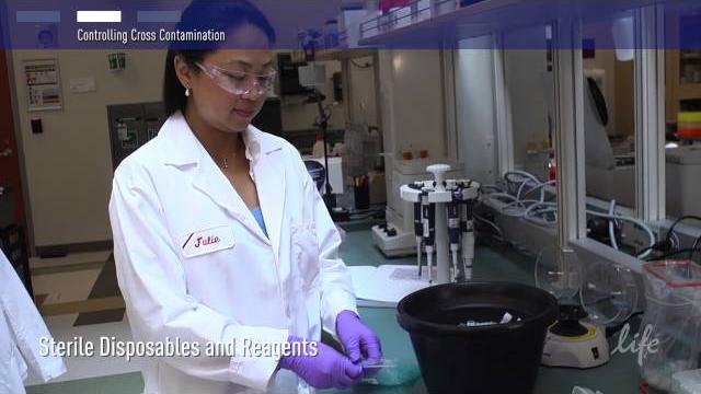 How to control contamination in pcr lab How to control contamination in pcr lab