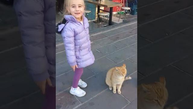 Kedi fena saldırdı !! #shorts #keşfet Kedi fena saldırdı !! #shorts #keşfet