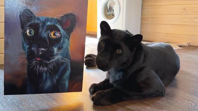 Big gift unboxing with luna the panther ️(eng sub) Big gift unboxing with luna the panther ️(eng sub)