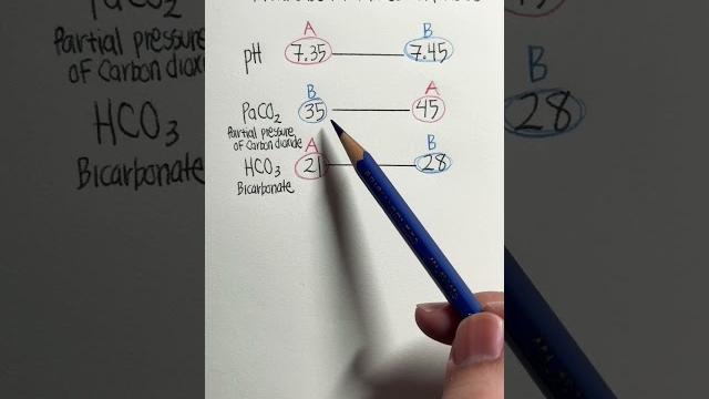 Abgs #nurse #nursing #nursingskills #nursingschool #nursingstudent #medical #shorts #abg #acidbase Abgs #nurse #nursing #nursingskills #nursingschool #nursingstudent #medical #shorts #abg #acidbase