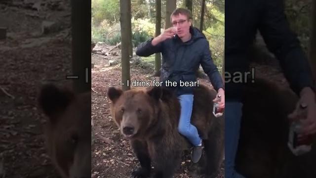 A russian drinks vodka riding a bear #shorts A russian drinks vodka riding a bear #shorts