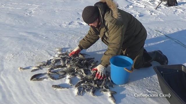 Морды катиски. обгорелые кости. рыбалка на мордушки Морды катиски. обгорелые кости. рыбалка на мордушки
