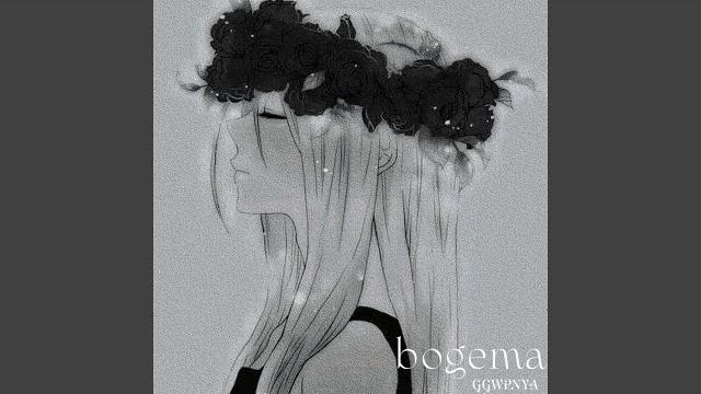 Bogema Bogema