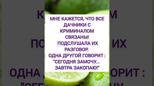 Спасибо за и подписку ️ Спасибо за и подписку ️