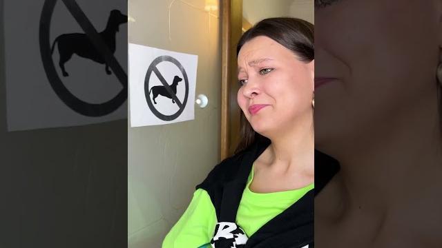Что придумала ариана Что придумала ариана