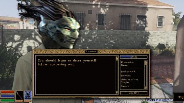 A dark elf roasts franklin (morrowind) A dark elf roasts franklin (morrowind)