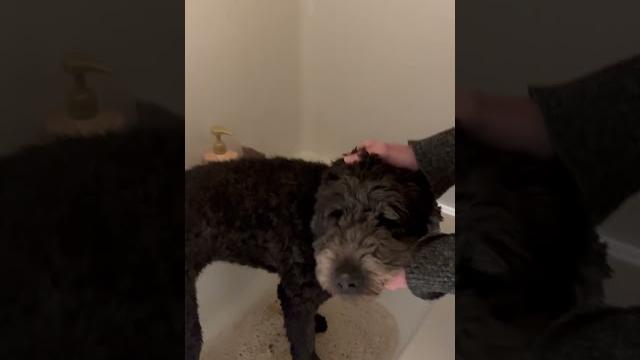 Luna’s bath Luna’s bath