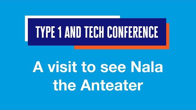 Nala the giant anteater | dundee wildlife centre | type 1 & tech conference 2022 | diabetes uk Nala the giant anteater | dundee wildlife centre | type 1 & tech conference 2022 | diabetes uk