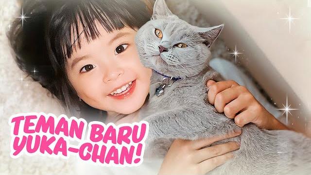 Yuka-chan adopsi banyak kucing! | a day in our life Yuka-chan adopsi banyak kucing! | a day in our life