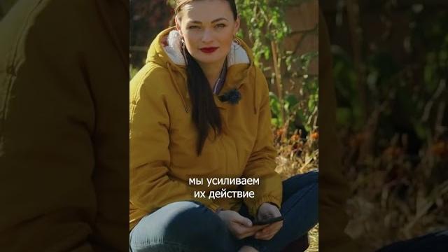 Что это баковые смеси биопрепаратов дачный агроном Что это баковые смеси биопрепаратов дачный агроном