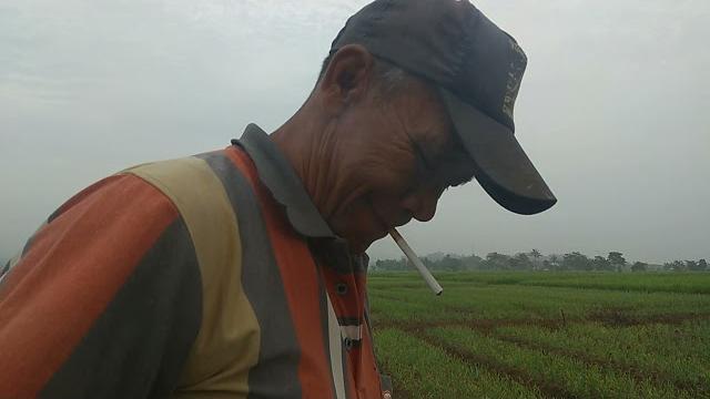 Kakek bader lagi nakal gak pake celana Kakek bader lagi nakal gak pake celana