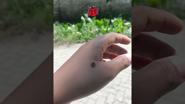 #party #yt #food #assamesehiphop #lovesong #music #flowers #bollywoodcoversongs #nature #musicsong #party #yt #food #assamesehiphop #lovesong #music #flowers #bollywoodcoversongs #nature #musicsong