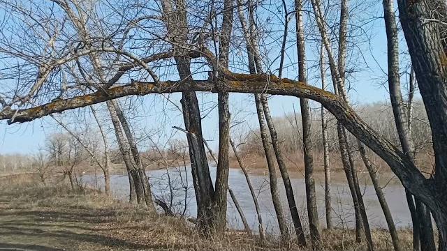 Урал оренбург.природа и релакс. Урал оренбург.природа и релакс.