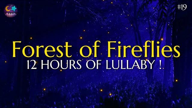 Forest of fireflies light - lullaby for babies to go to sleep - lullaby songs #19 Forest of fireflies light - lullaby for babies to go to sleep - lullaby songs #19