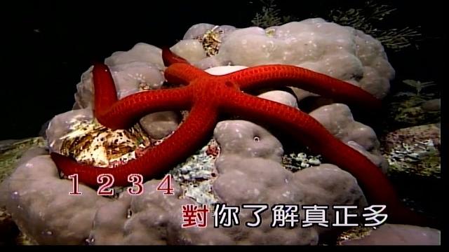乞丐擱會弄拐仔花~李秀蘭~女bm調~伴奏導唱~金嗓(甲) 乞丐擱會弄拐仔花~李秀蘭~女bm調~伴奏導唱~金嗓(甲)