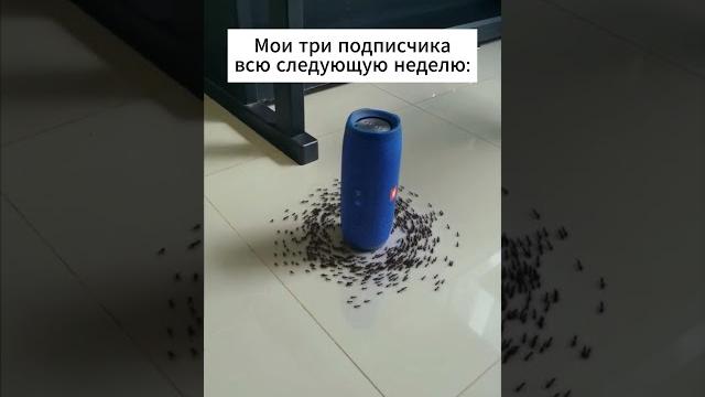 Когда ты начинающий артист Когда ты начинающий артист